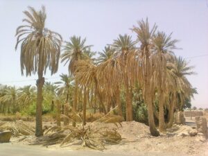 صفحه اصلی | پایگاه خبری خوزنگار